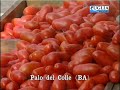 Paesi di Puglia - Palo del Colle (BA)