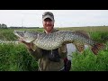 Crazy Pike Smash Top Water Frogs up Close! (Awesome slow-mo)