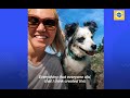 Stolen Dog Is Reunited With His Mom After Months Apart | The Dodo