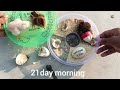 How to hatch eggs at home without incubator - incubator plastic box help sunlight 100% result part-3