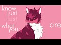 Womanizer | Complete Leafpool & Squirrelflight MAP