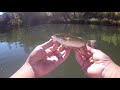 River Smallmouth fishing in the Russian River!