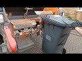 Dennis Elite + Olympus Bin Lorry on Non-Recyclable Waste, ZFZ