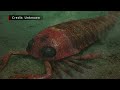 The HUGE Sea Scorpion that was actually a River Monster - Jaekelopterus