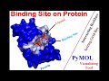 Identifying Binding Site on Protein : Tutorial