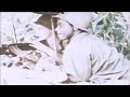 BATTLEZONE | Vietnam War Documentary | 4th Infantry Division | S2E10