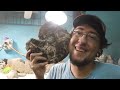 We Found a MONSTER Ammonite Covered in Sutures and Ammolite! Fossil Hunt, Repair, Prep, and Polish!