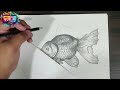 Learn to draw a Fish | F for Fish | Easy Pencil Course