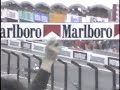 Vídeo amador raro Suzuka 1989. Batalhas Prost vs Senna vs Nannini.