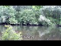 Time Lapse Interrupted by Flood (Pawtuxet River Warwick RI) | Rhode Side Extra