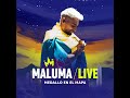 Maluma - Sobrio (Medallo en el Mapa LIVE - Audio)