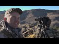 GIANT Nevada Desert Bighorn Sheep | AMAZING Shot!