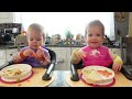 Twins try BLT with cheese