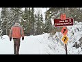 Winter Walk on the Taconite Trail