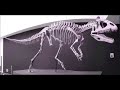 Cryolophosaurus and other antarctic prehistoric animals tribute