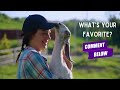 The Best Goats for Beginners [Top Breeds for Dairy, Meat, and Pets!]