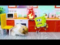 Go Away, Stranger! Hamster Escapes Tom Maze In Real Life | Life Of Pets HamHam