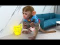 Monkey Baby Bon Bon meets The Ants Go Marching and Eats so yummy Ice Cream with Puppy