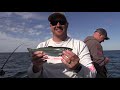 Salmon Fishing - Lake Michigan (Part 3)