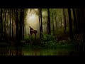 Sleep Music, purified by the sound of rain and 528Hz | Recommended for concentration