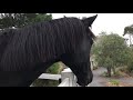 Barn tour!!