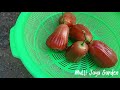 PANEN JAMBU AIR CITRA MERAH MERONA#jambuair#fypyoutube#buahbuahan#tabulampot