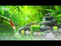 Soothing Relaxing Music 🌿 Relaxing Music with Nature Sounds, Relieve Stress & Calming Piano Melodies