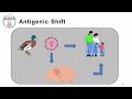 Influenza: Epidemiology and Viral Structure