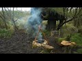 Building wood survival shelter in wildlands | Bushcraft & Campfire grilled meat