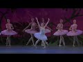 Top 15 Up and Coming Female Ballet Dancers