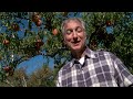 Growing a Greener World Episode 309 - Backyard Orchards