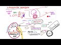 Intravascular Hemolysis