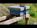 Beekeeping on Vancouver Island. Nucleus colonies have arrived for 2023
