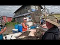 Watch This Lady's Fish Filleting Skills in Action! This Lady Is A Fish Cleaning Machine! Part 2