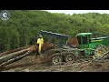Dangerous Skill Huge Tree Cutting With Beast Chainsaw Machines, Fastest Biggest Felling Tree Skill