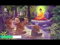 Lời Phật Dạy - 22 Câu Chuyện Phật Dạy Nghe Thấm Thía Từng Lời