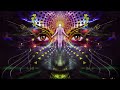 PULSATION - PSYTRANCE MIX 2017 [RYDHM DEE]