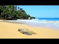 Tropical Ocean HD 1080p Video with Beach Sounds - 4 Hour Long!
