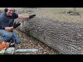 How To Chainsaw Like a Boss. This Could Save Your Life.