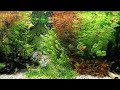3 Hours Aquarium HD with Watersounds (NO Music) - NO LOOP!