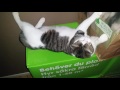 Generic Cat Video | Chun-Li and Tifa