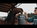 Horse Shelter Heroes S5E15 - Astonishing Solar Eclipse!