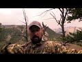 Bow hunting BONANZA! DIY Public land elk hunt during the rut (Eastmans')