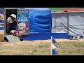 Fun Watching the Pig Races at OC Fair