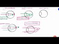 ASTIGMATISM || REGULAR ASTIGMATISM || with rule astigmatism|| simple, compund and mixed astigmatism