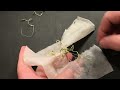 Is Your Seed Too OLD? Test It First With Paper Towels And Germinate It BEFORE You Plant!