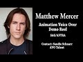 Matthew Mercer - Animation Voice Over Demo Reel