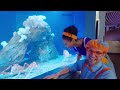 Sink or Float Swim Challenge | Blippi & Meekah Best Friend Adventures | Educational Videos for Kids