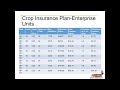 Crop Insurance Basics