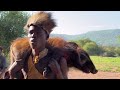 Hadzabe Tribe Successfully Hunt | Our Tradition